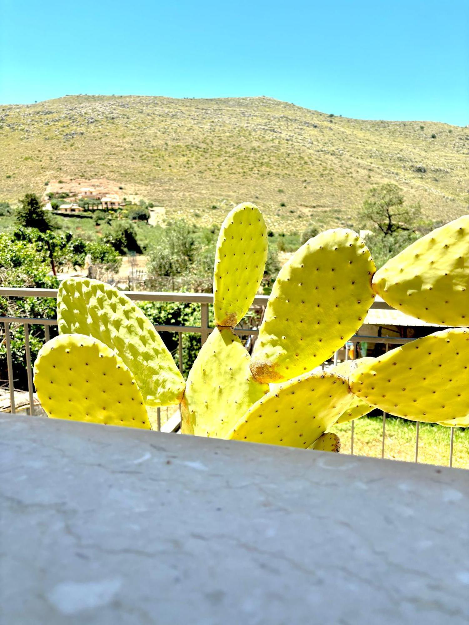 Bed And Breakfast Turi Castelluzzo Exteriér fotografie